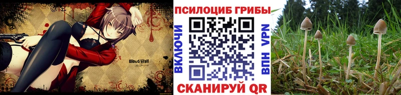 Купить закладки  Усолье-Сибирское  Псилоцибиновые грибы Psilocybe 